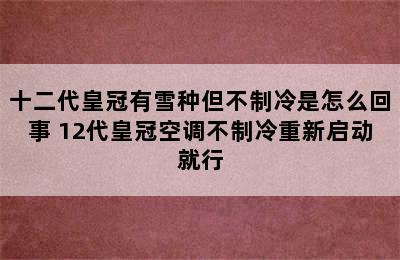 十二代皇冠有雪种但不制冷是怎么回事 12代皇冠空调不制冷重新启动就行